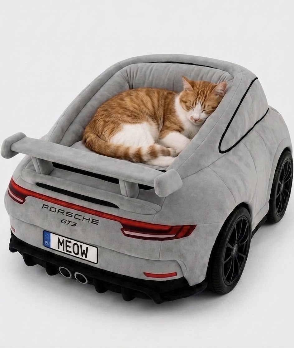 Lit Mural Voiture pour Chat